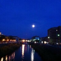 cristina iorio (@cristinaiorio4) 's Twitter Profile