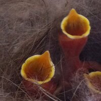 cecile bdg (@cecilebdg) 's Twitter Profile