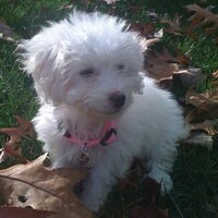 Dana Miller (@smoochie460) 's Twitter Profile