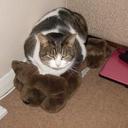 jackie dore - @DoreJackie - Twitter