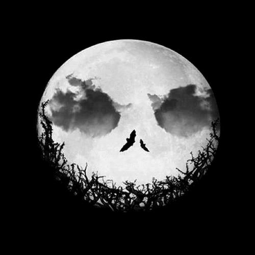 Sou uma pessoa extrovertida... legal.. Adoro ouvir musica sair ir ao cinema..