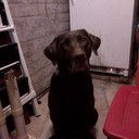 shannon maier - @shan1maier - Twitter