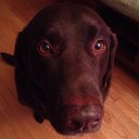 Austin Spangler - @AustinSpangler1 - Twitter