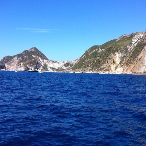 BarbaraAmicucci's profile picture. Avvocato con la O