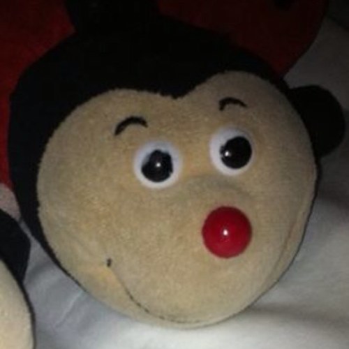 GraemeHorley's profile picture. Spurs fan, ex-scientist, ex-editor, Spurs fan, SFI Programme Manager, fanatical golfer, father and husband... oh, and a Spurs fan!