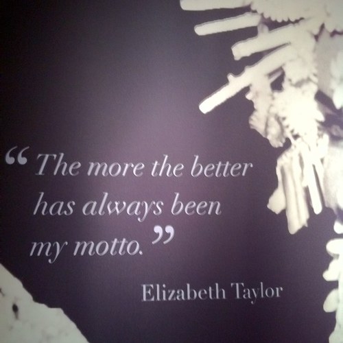 scottiedc's profile picture. 