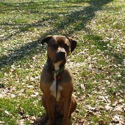 TIMETOGO2's profile picture. 