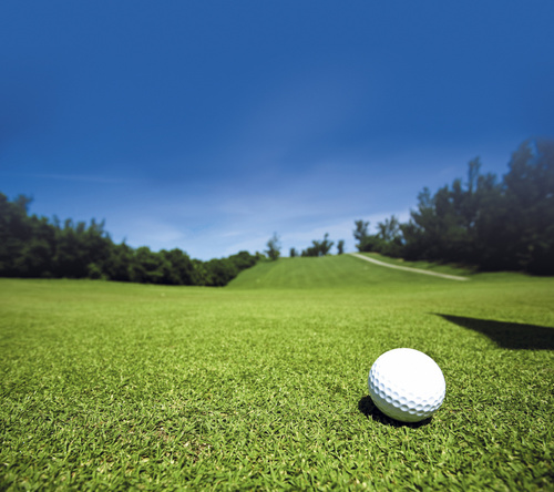 haskins1919's profile picture. 