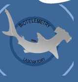 We are the UC Davis Biotelemetry Laboratory.  Our studies aim to elucidate the link between an animal's behavior and its social and physical environment.