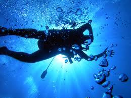 Diver who Loves to Dive!!