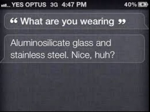 Hi, i'm Siri and i'm just here to tell you about the dicks who shouldnt be on an iphone.