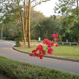 PARQUEMEMORIAL's profile picture. PROPIEDAD MEMORIAL
SERVICIOS FUNERARIOS
SERVICIOS DE CREMACION