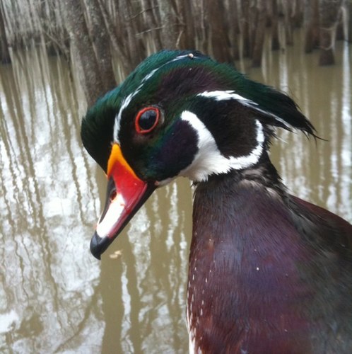 TheJordanMafia's profile picture. Worry about something else.