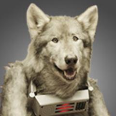 I'm Director Wolfdog, Old Spice's New Director of Marketing. This is my personal twitter®, follow my professional twitter® @OldSpice. Buy Old Spice!