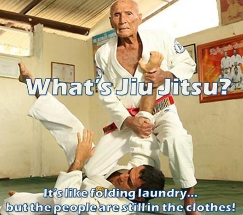 Owner @dishchef ~ Van Island ~ Young Mind / Old Soul ~ Culinary Ninja ~ BJJ Addict ~ Dog Lover ~ Canuck Fan ~ Fitness Focused #IAmCanadian