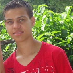 PALMEIRAS MINHA VIDA É VOCÊ