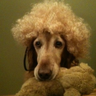 Trjohnson85's profile picture. 