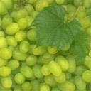 MarkoAntonio62's profile picture. Взаимный фолловинг, RuFollowBack