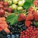 zenya_krivunets's profile picture. Взаимный фолловинг, RuFollowBack