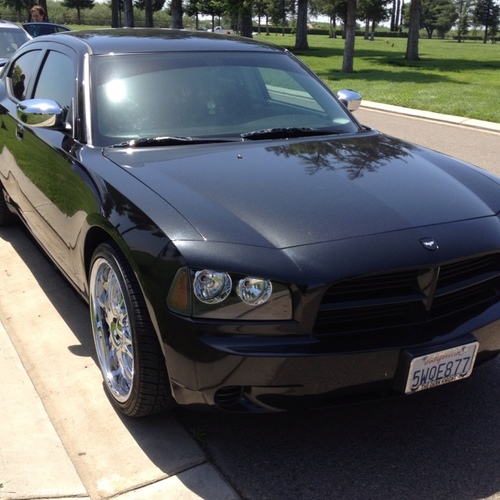 Logan09Tony's profile picture. 