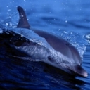 Взаимный фолловинг, RuFollowBack