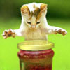 Взаимный фолловинг, RuFollowBack