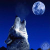 wikiru Profile Picture