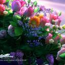 Взаимный фолловинг, RuFollowBack