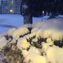 Vera Long - @LongVera - Twitter