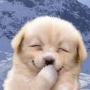 85_blade's profile picture. Взаимный фолловинг, RuFollowBack