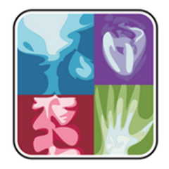 radiology411's profile picture. Radiology Schools is a comprehensive site designed for individuals looking to further their careers in healthcare and radiology