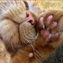 Взаимный фолловинг, RuFollowBack