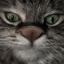 Взаимный фолловинг, RuFollowBack