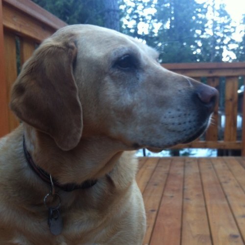 kmtaft's profile picture. 