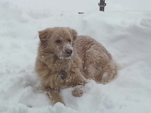 katjalad's profile picture. 