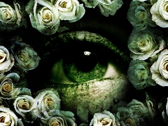 screwyou45's profile picture. 