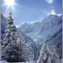 Взаимный фолловинг, RuFollowBack