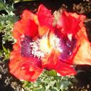 thomas cuevas garcía - @GarcaThomas - Twitter