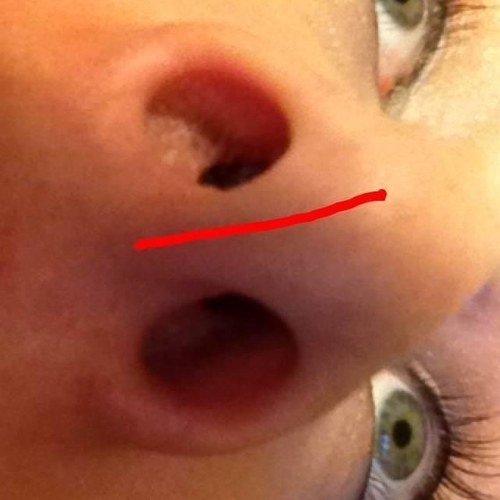 RhiannonsNose's profile picture. I smell