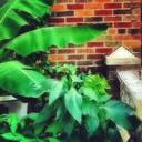 Darius Simon - @DariusSimon205 - Twitter