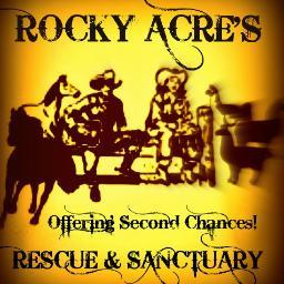 Rocky Acre's Rescue & Sanctuary
We Rescue Horses,Llamas,Alpacas and other animals in need of our care!
We are also Rocky Acre's Training & Boarding
Montana