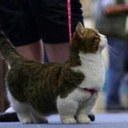 Quinn Fleming - @Quinn_Fleming_ - Twitter