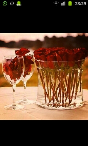 tttttth1's profile picture. 