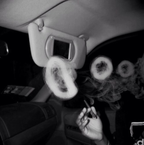 LegalPothead's profile picture. I retweet a lot since I basically suck at this whole twitter thing.