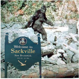 SackSassquatch's profile picture. recently out of hiding. active member of the #sackville community. lover of #beer and #hard liquor.