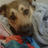 mhb362's profile image