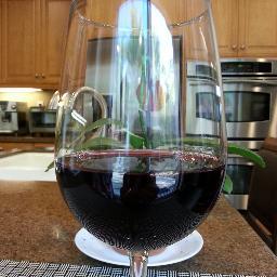 IngooP's profile picture. 