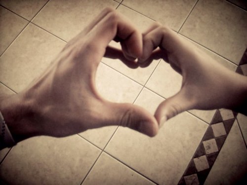 wilcoxti's profile picture. 