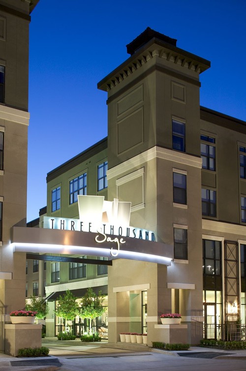 3000_Sage's profile picture. 