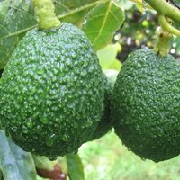 Dudley Mitchell (@mitchell_dudley) 's Twitter Profile